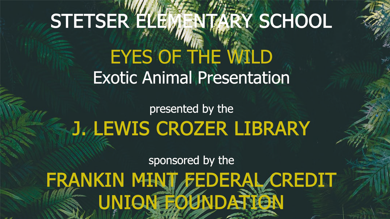 Eyes of the WIld